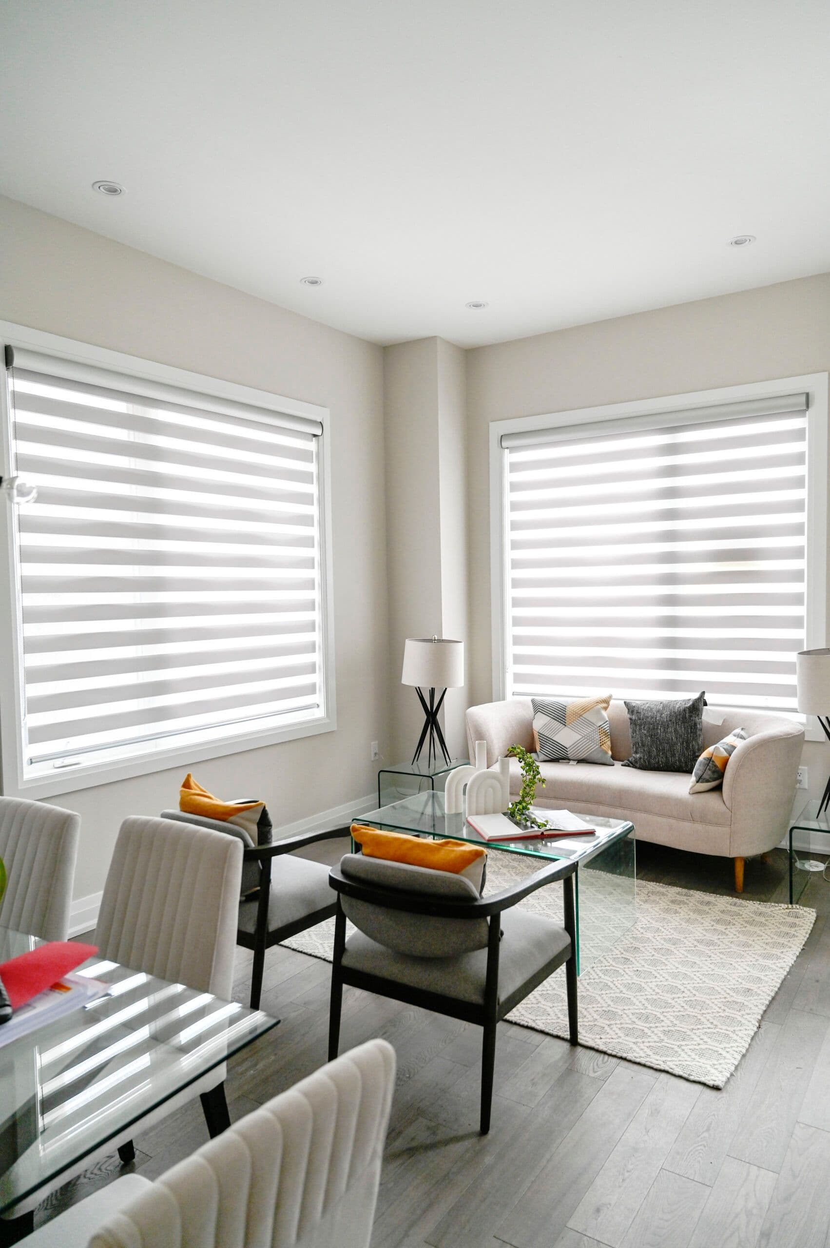 Interlude Zebra Shades